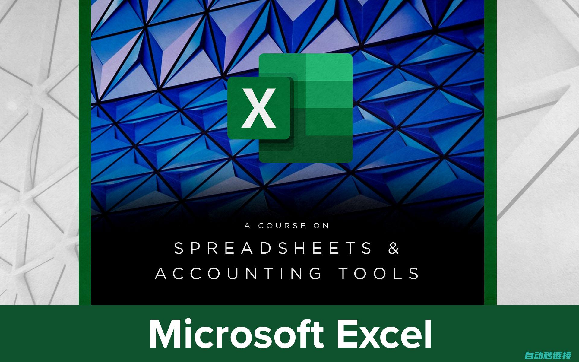 Excel 高级应用指南: 掌握数据分析、自动化和可视化的技巧