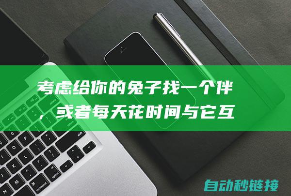 考虑给你的兔子找一个伴，或者每天花时间与它互动。