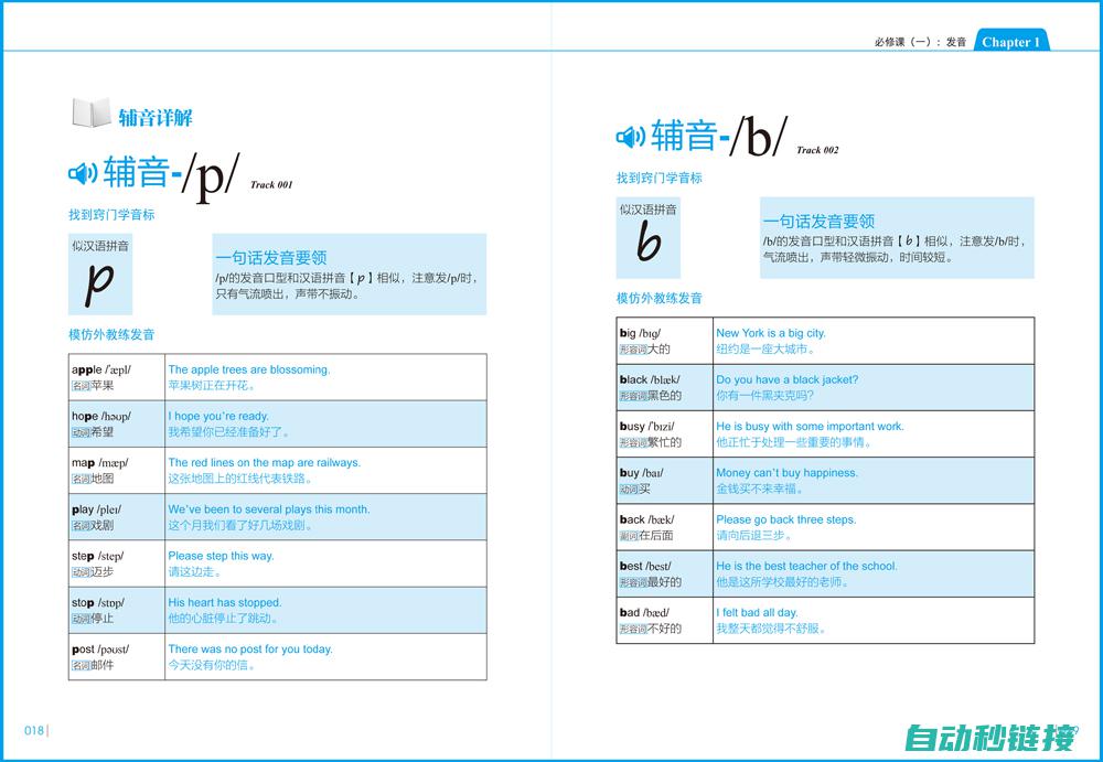 零基础学英语：一步步从新手到流利