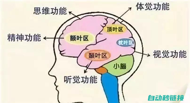 不要忽略治疗和辅助。治疗和辅助战姬可以为你的阵容提供急需的支持。确保在阵容中至少有一个治疗或辅助战姬。