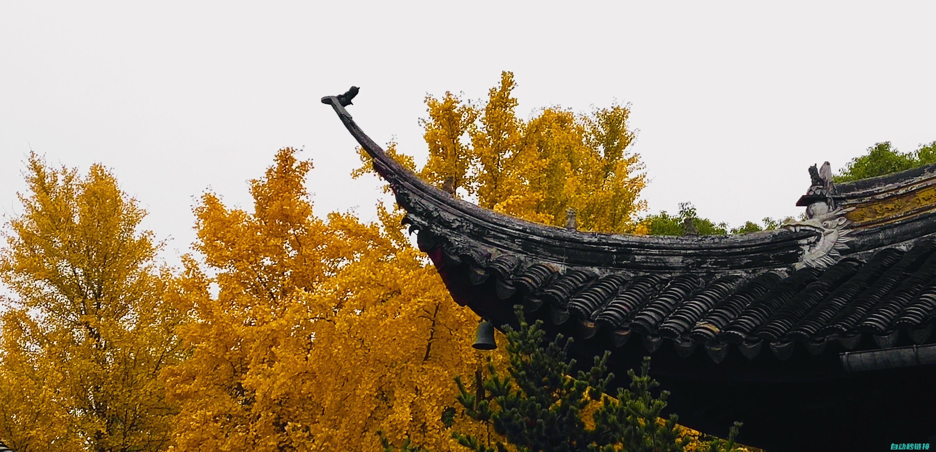 西园寺 攻略：游览京都这座隐秘寺院的终极指南