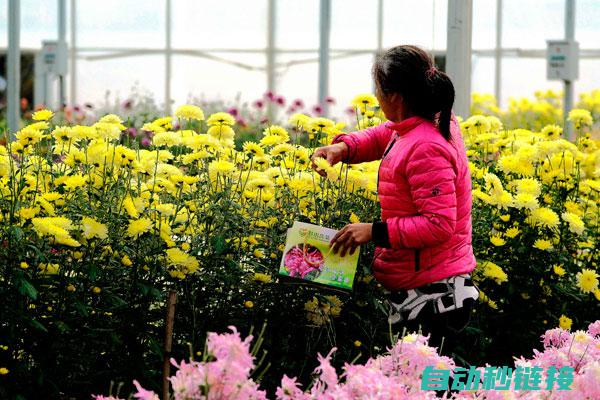 绚丽多彩的梦幻西游海毛虫饰品引领玩家开启全新的游戏冒险之旅。