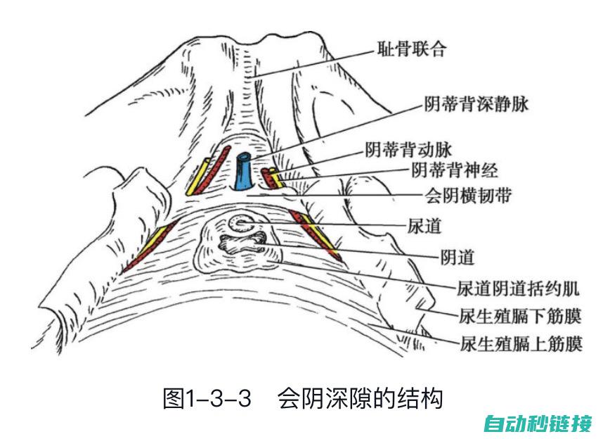 全方位解析阴阳师御魂成长体系与成长表应用