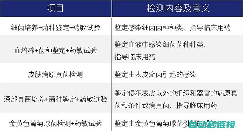 宠物评分系统详解及实际应用案例分享》