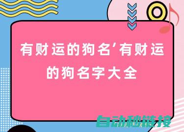 让财神宠物成为您生活中的吉祥伴侣