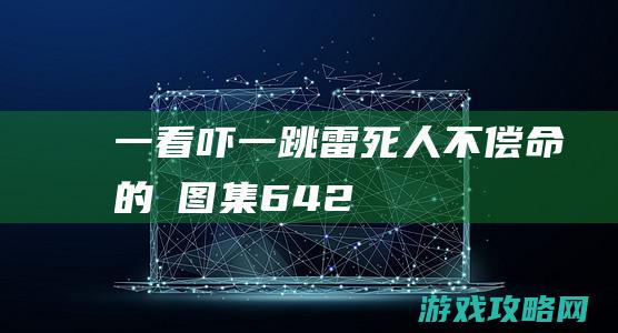 一看吓一跳：雷死人不偿命的囧图集（642）