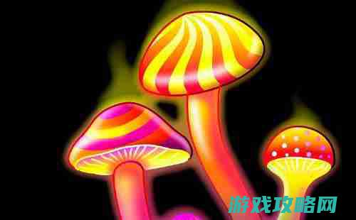 一段迷幻奇幻的体验 (奇幻迷离的意思是什么)