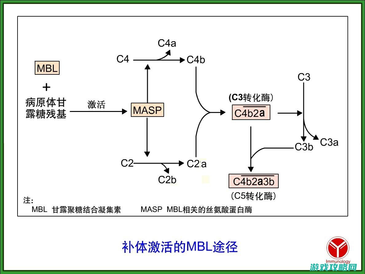 二、下载途径及准备工作 (下载途径有哪些)