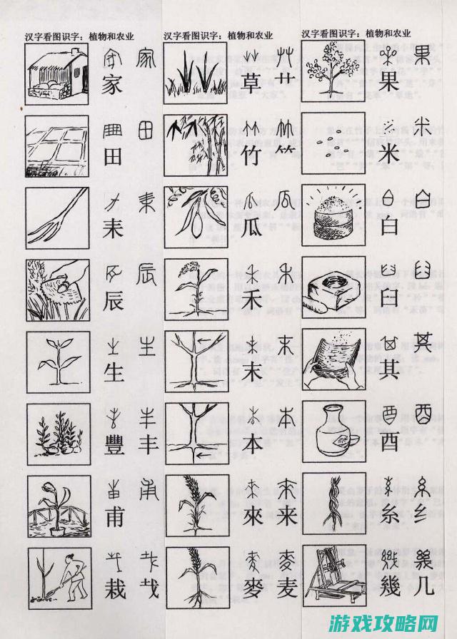 探索汉字的世界作文