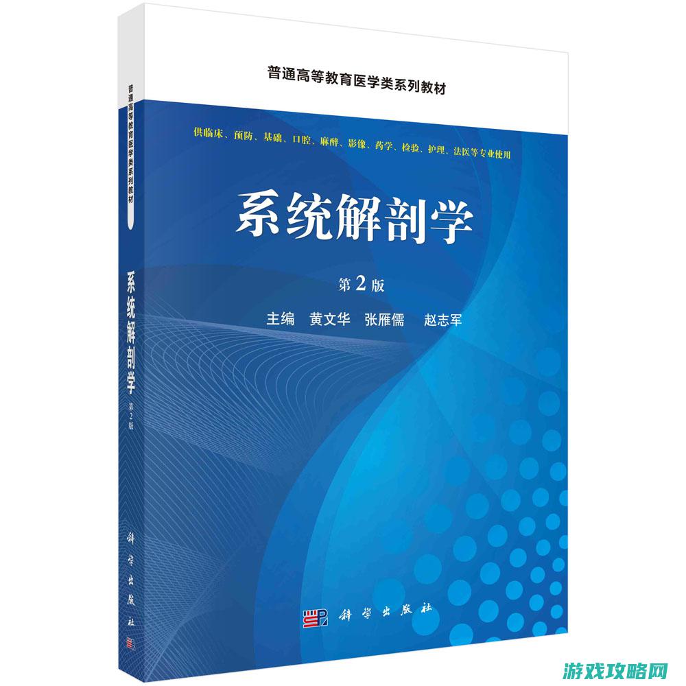 系统讲解：解析游戏的背后机制和主要目标。 (系统解列的原则)