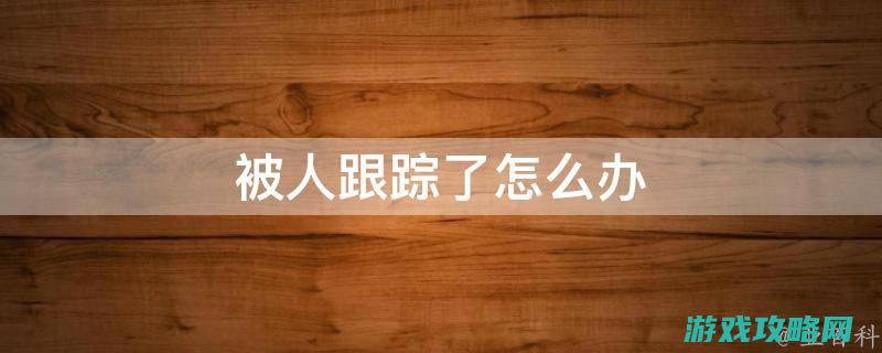 被人跟踪游戏攻略大全 (被人跟踪游戏怎么解决)