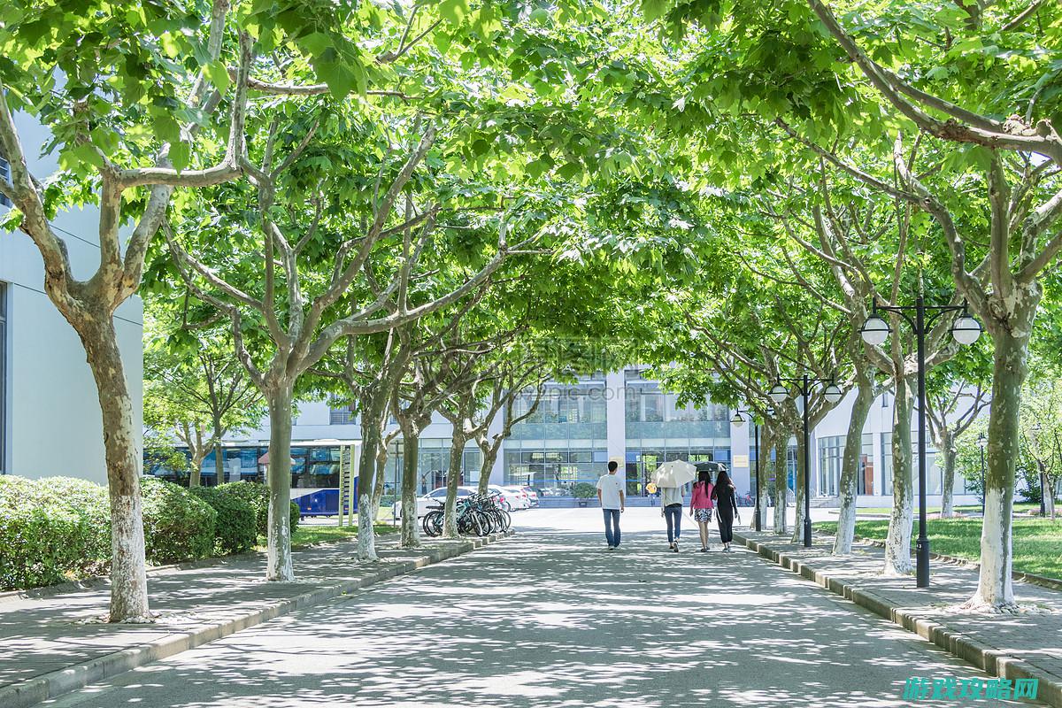 深入体验校园生活场景，沉浸其中领略不同玩法技巧 (深入体验校园美好生活)