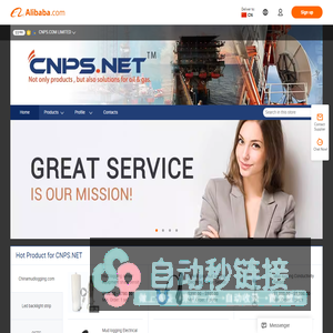 Company Overview - CNPS.COM LIMITED