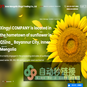 Inner Mongolia Xingyi Trading Co., Ltd