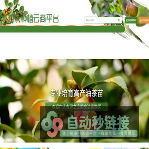 油茶种植云商平台_重庆油茶种植门户网站_重庆油茶种植_重庆油茶销售_重庆油茶批发_重庆油茶订购_酉阳油茶种植技术