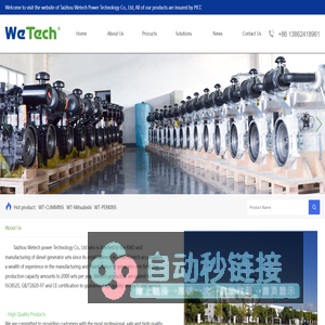 Taizhou Wetech Power Technology Co., Ltddiesel generator set