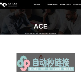 安思一（ACE）集团