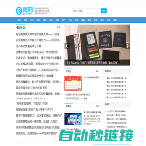 青网_青岛新闻_青岛论坛_青年门户