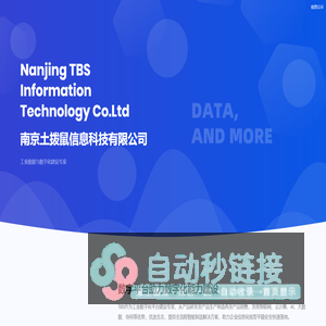 TBS Information Technology