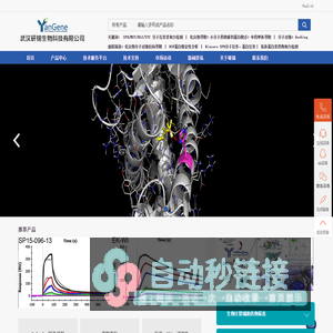 MST亲和力检测-DSF蛋白稳定性分析-SPR分子互作亲和力检测-化合物分子对接反向寻靶-武汉研锦生物科技有限公司