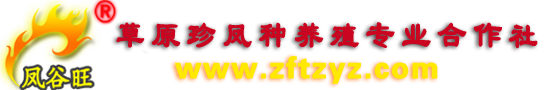 内蒙古乌拉特草原珍凤野生动物养殖场|乌拉特草原珍凤种养殖专业合作社|石鸡养殖|野鸡养殖|旱獭养殖|牛羊骆驼养殖|农业种植|石鸡批发|石鸡蛋批发|石鸡苗批发